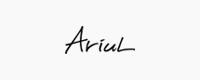 02_ariul